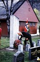 Ved frigjeringsjubileet i 1995 var det minnemarkering ved russebautaen. Direktør ved Hydro Karbon, Ove Bakke, heldt minnetale og la ned krans.