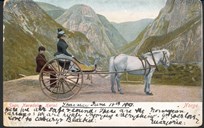 Postkort frå ca 1900 som viser karjol med hest, ein passasjer og skyssgut. Biletet er frå Stalheim Hotel med utsyn mot Nærøydalen.