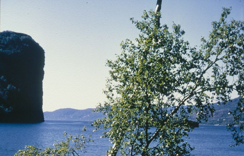 Katlenova sett vestetter frå RV 607 i botnen av Sørefjorden. På biletet kan det sjå ut som nova hallar litt utover. Raset gjekk eit stykke vestafor den brattaste hammaren.