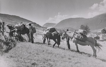 To menn og tre kløvhestar kryssar eit jorde, fjell og ein dal i bakgrunnen. 