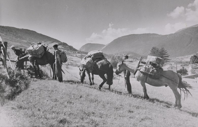To menn og tre kløvhestar er på veg gjennom Setesdalen ca 1940-42.