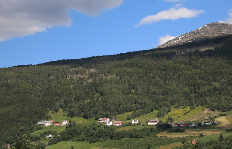 Garden Berge i Utvik