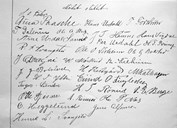 Ei historisk underskrift, Dina Paasche, konstituerande kommunestyre 28. desember 1901