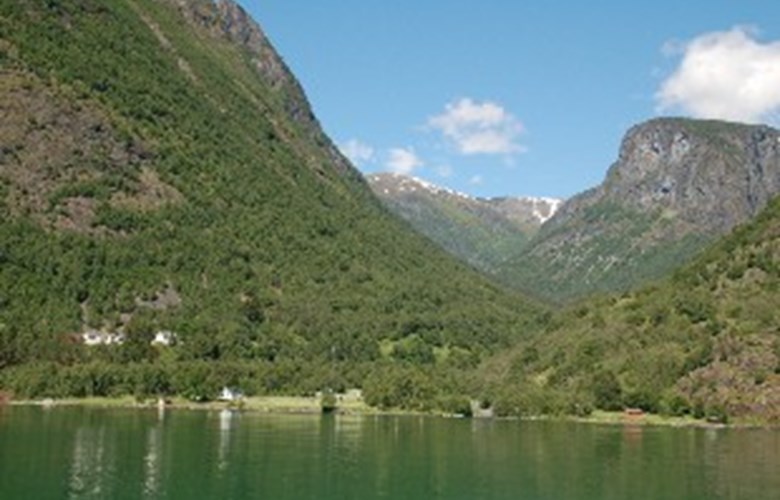 Dyrdal sett frå Nærøyfjorden. Langt oppe i dalen kan ein så vidt skimte Drægo som ein grøn flekk.
 