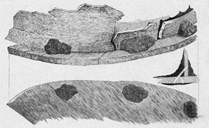 Fragment av eit trekar, tetta med tetningskitt (fra O. Rygh: Norske Oldsager)