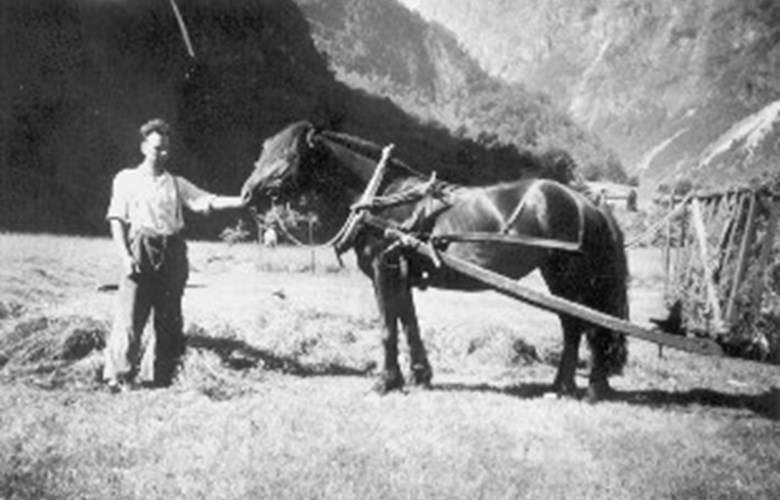 Ole Nilsen Skjerping (1906-1986), gardbrukar på Skjerpi, med hest og vogn. 