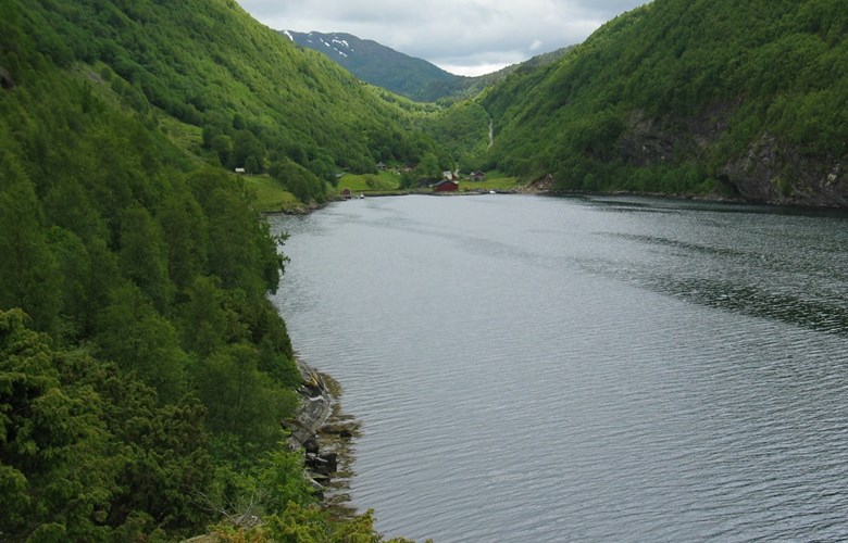 Mulagarden ligg inst i den lange Mulavika som munnar ut i Førdefjorden. Sjøvegen var einaste vegen hit til 1980.