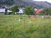 Gravene til Oline Bertine Dalsbotten og Oline Bertine Klungreset ligg aust på den gamle kyrkjegarden på Grotle.