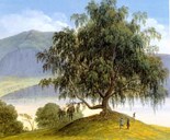 "Den hellige Bjerk ved Gaarden Slinde. Levning fra Balders Lunde", er tittelen på Johannes Flintoe sitt gouachemåleri frå 1820-åra.
