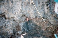 Her fann dei torv (humuslag) under morenen som var avsett frå siste istid. 

