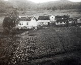 I 1932 kjøpte Joleik Kleppstølen i Naustdal. Der busette familien seg. Joleik sjølve budde i store delar av året i Bergen, og var heime 3-4 månader i året.
