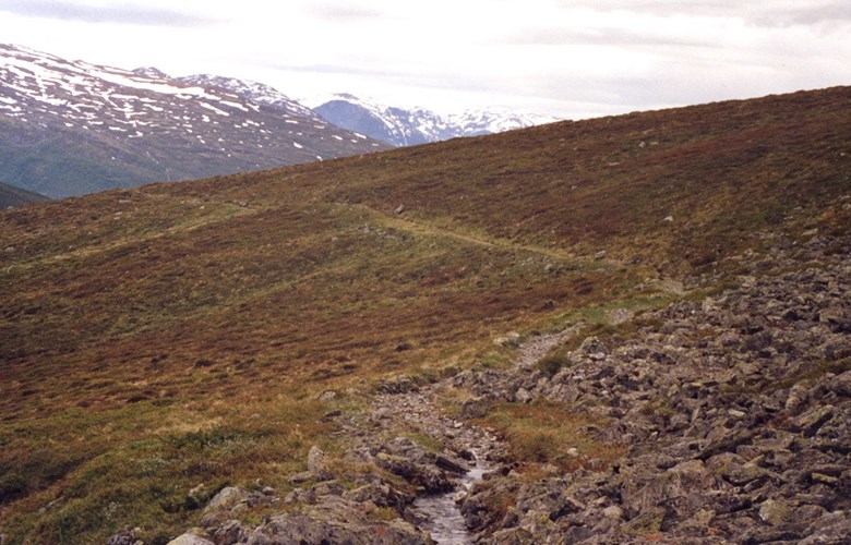 Vatningaveita ved inntaket i elva Kolsa. Veita går nedover på vestsida av Kvammadalen. I bakgrunnen ser me fjella sør for Aurlandsvangen.