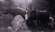 Sigrid O. Bøyum, fødd 1923. Ho voks opp i Horpedal og var i mange år budeie på heimestølen Blåbærstølen og fjellstølen Steindalen. 