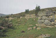Det står att fleire murar etter fjøs på Skinlostølen.