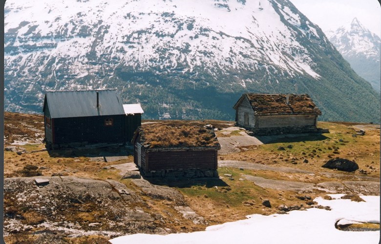 Torheimstølen med Bøafjellet bak.