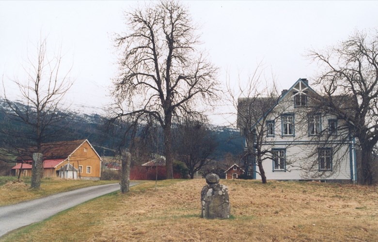 Steinen ved Minde står attmed vegen inn til våningshuset fabrikkeigar Wald Skaaden bygde kort tid etter han kjøpte eigedomen i 1892.
