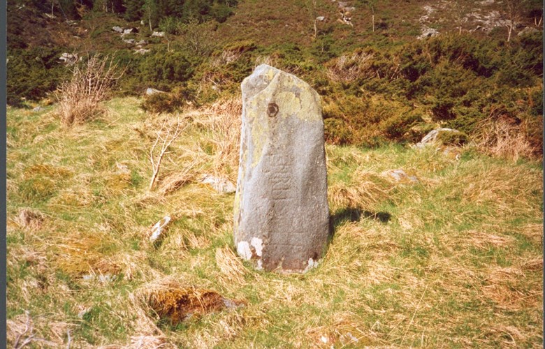 Runesteinen "sød i stranda" på øya Barmen. Han står mellom Korsneset og stranda ut mot Røyset, berre 20-30 meter frå vegen.