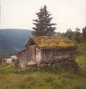 Det står to sel på Steigastølen. Dette er Gamlaselet i 1985 før snøen braut det ned. Nyaselet vart bygt i 1940.