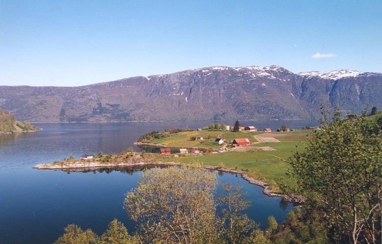 Neset som stikk fram lengst framme i biletet er Langneset. Neset bak er Gardneset med eika nesten ut på pynten. I bakgrunnen Nordfjord.


