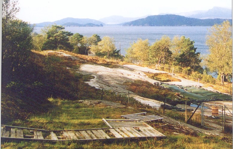 Ausevika inst i Høydalsfjorden. Her ligg eit helleristningsfelt som skil seg ut ved at det ikkje berre er dyrefigurar som t.d. hjort, men også spiralar, sirklar, labyrintar og andre merkelege figurar.
