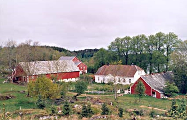 Gardstunet på Erikstad sett mot nord med hovudbygningen, Drengestova og Kjellarhuset til høgre og Gamlefjøsen, og den nyare fjøsen til venstre. Eit kjempestort tuntre mellom fjøsen og hovudbygningen måtte fellast i 2003.
