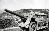 Fransk 15,5 cm Schneider feltkanon som det stod seks stykke av i det tyske kystfortet i Havreneset. I bakgrunnen Storåsen.

