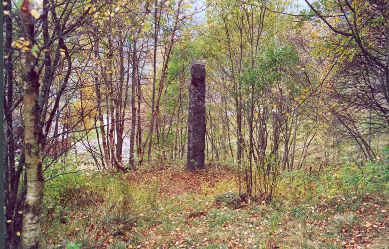 Minnesteinen over Mads Torbjørnson Sæve, i utsprengd granitt,  er kring 2,5 meter høg, 45 cm brei og  12 cm tjukk. Han står like ovanom gardstunet på Sæve. Det er vakse til med skog rundt steinen. I 1921 var det ope utsyn nedover dalen.

