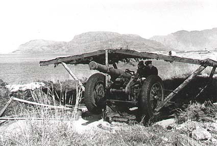 Bilete av ei av dei fire 10,5 cm kanonane som stod på Risnes.