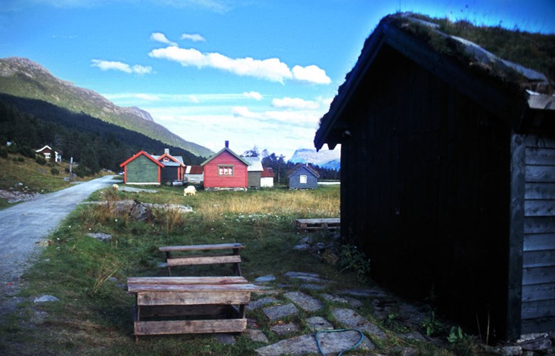 I Myklebustdalen, like ved riksveg 614, ligg den idylliske Myklebustsætra, eller Ålfotsætra som ho òg vert kalla. Dette er ei av dei få setrane i fylket som enno er i drift i år 2002.
