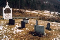 Familiegravstaden på Sørevikane våren 1998. Ein storvaksen granhekk er nyleg erstatta med barlind.